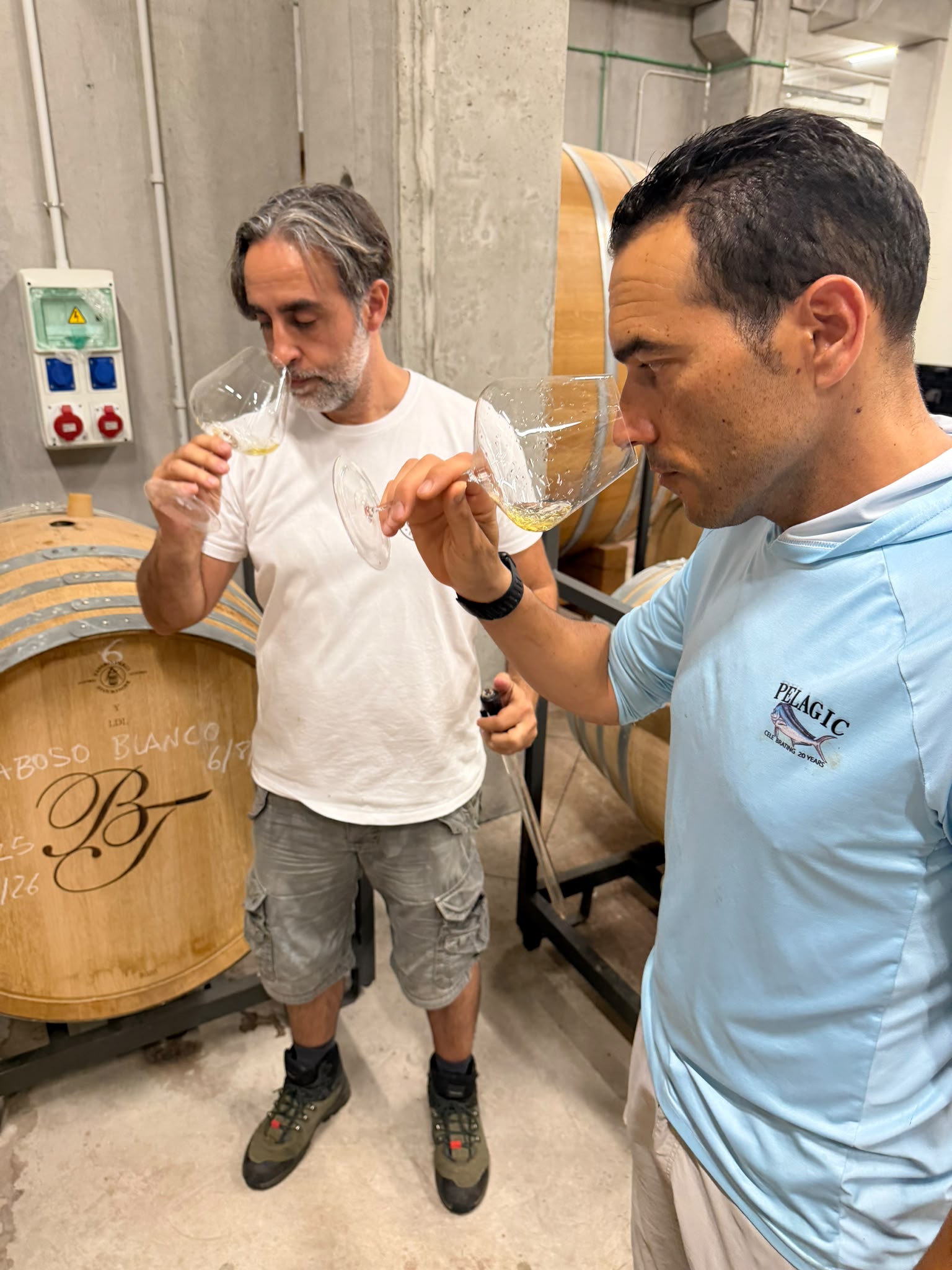 Jonatan García y Raúl Piñero durante la vendimia