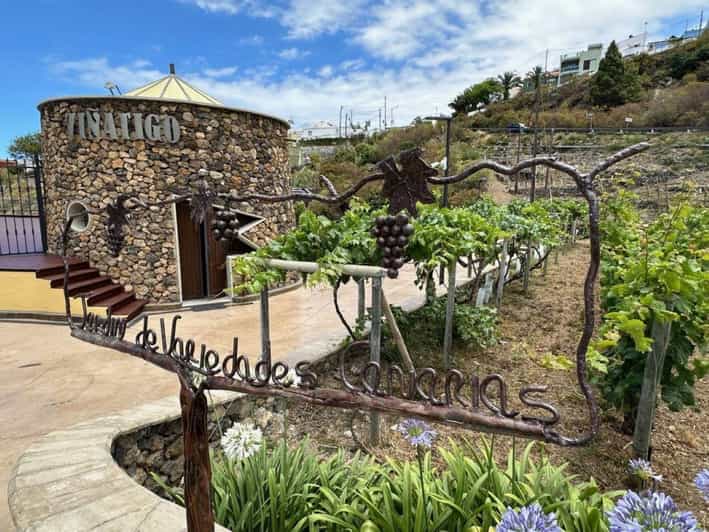 bodegas viñatigo