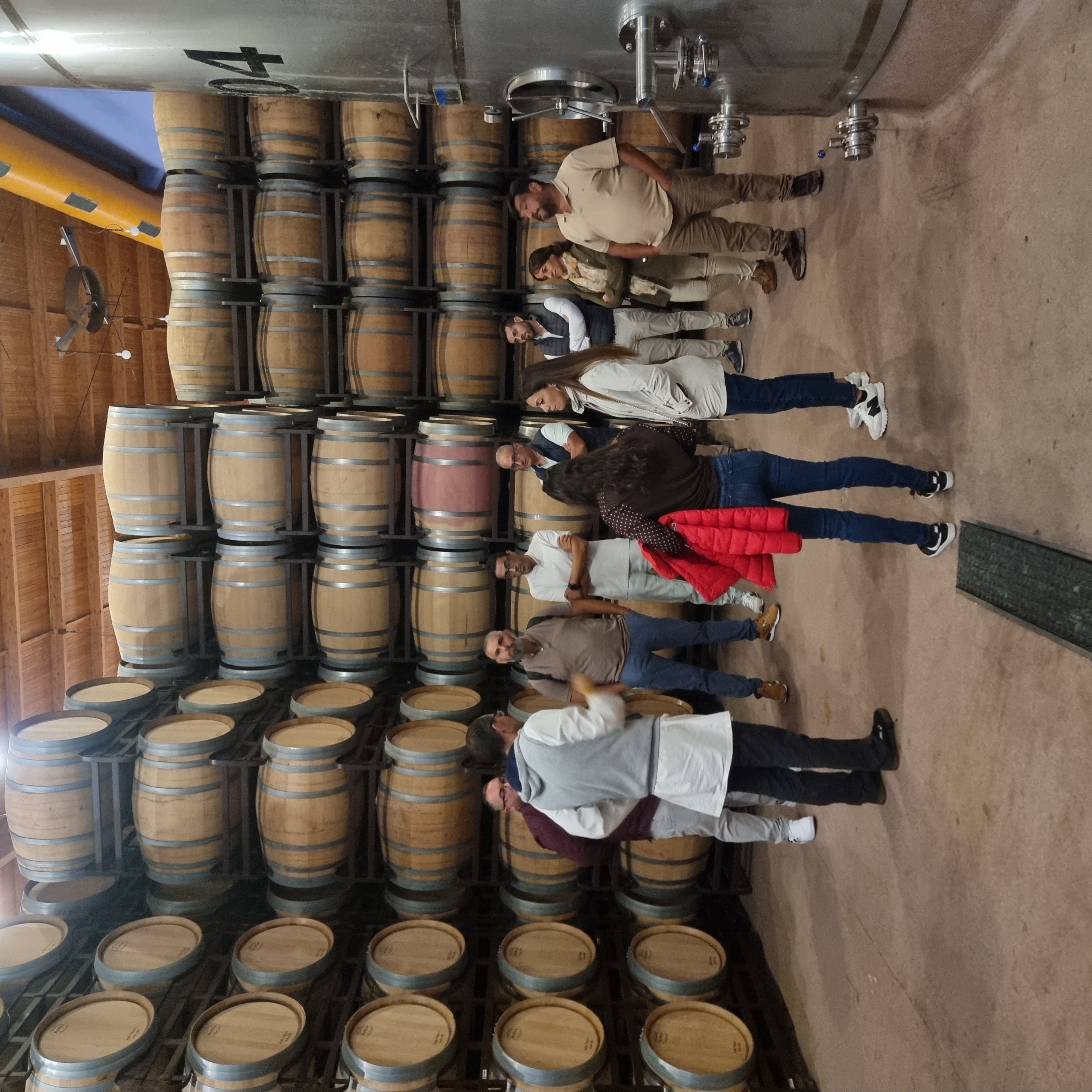 bodega pagos del rey ribera del duero