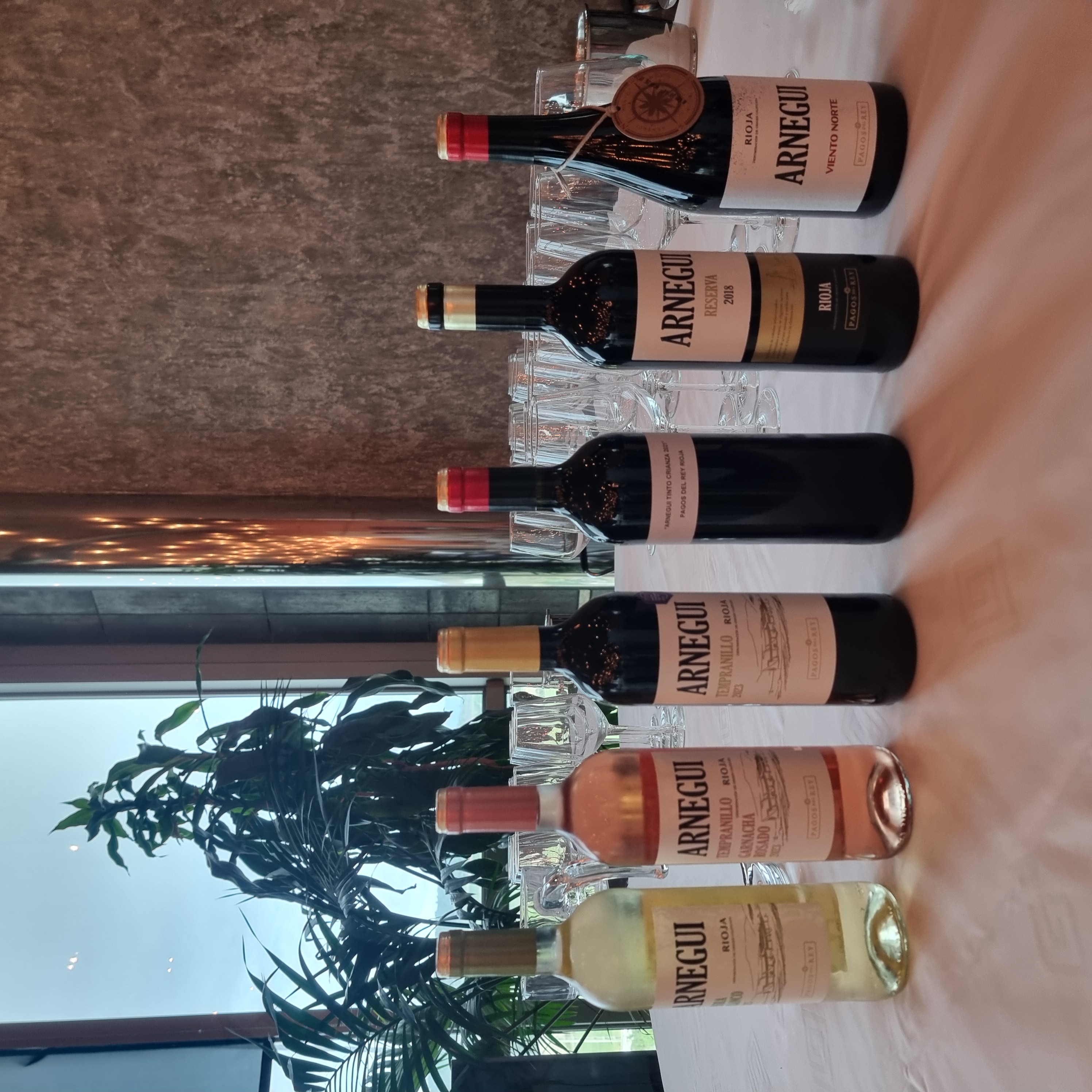 Vino Pagos del Rey