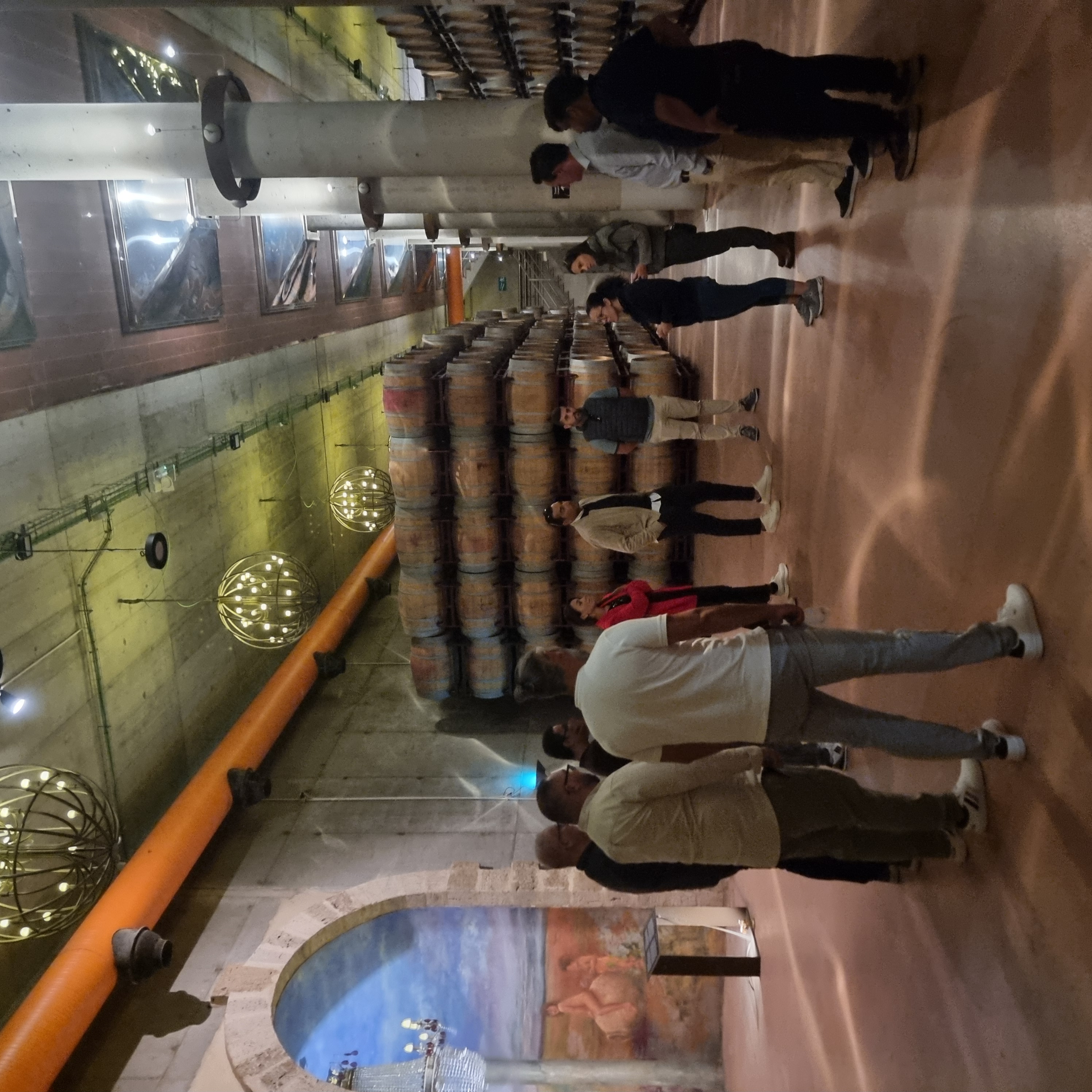 Pagos del rey museo del vino