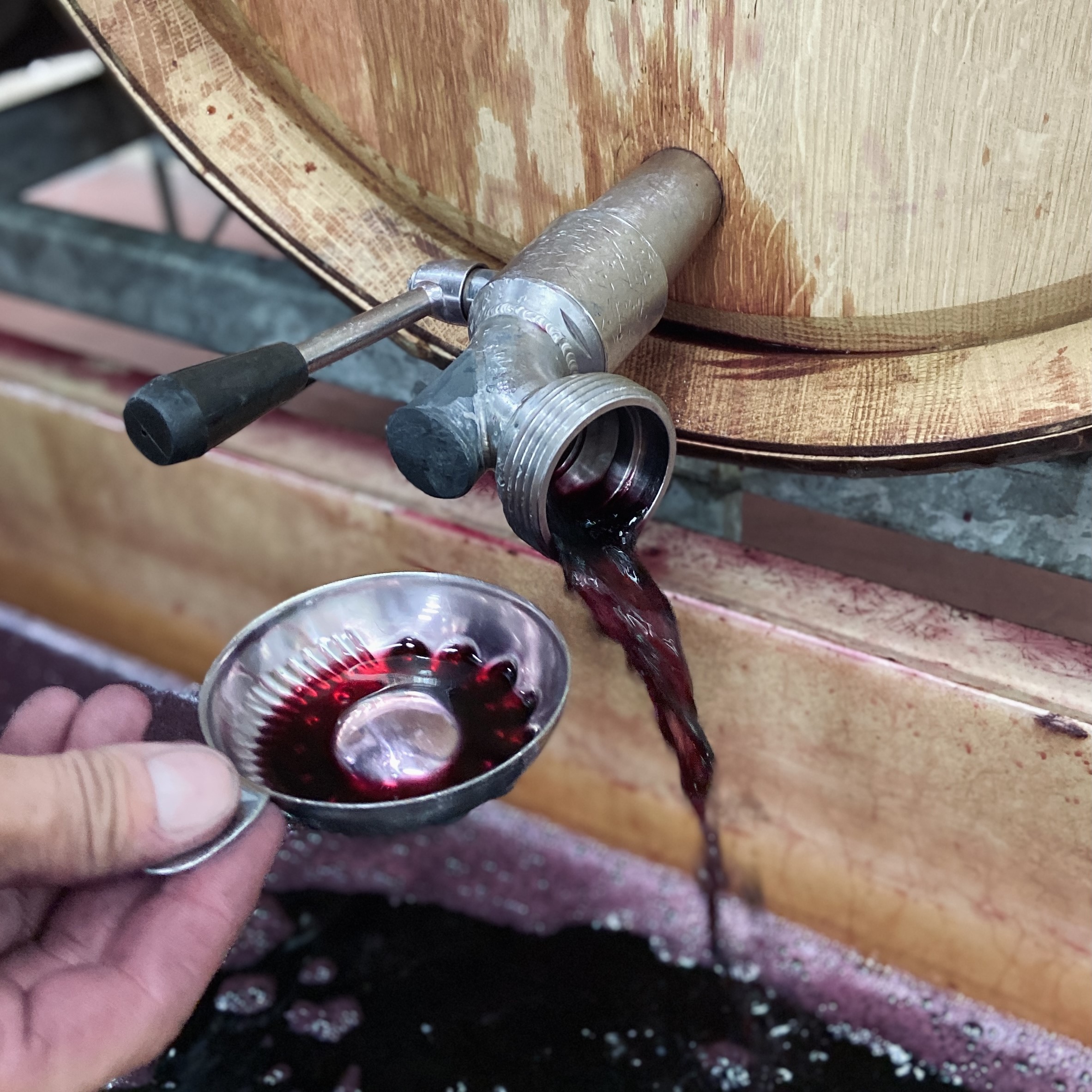 vincent girardin bourgogne