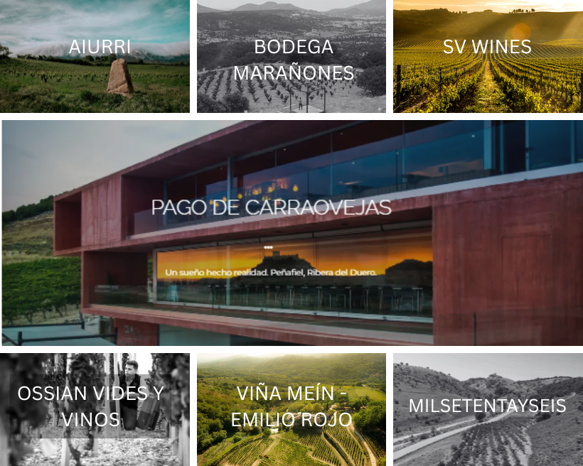 Alma Carraovejas: Incorporamos nuevas bodegas en distribución en la provincia de Santa Cruz de Tenerife