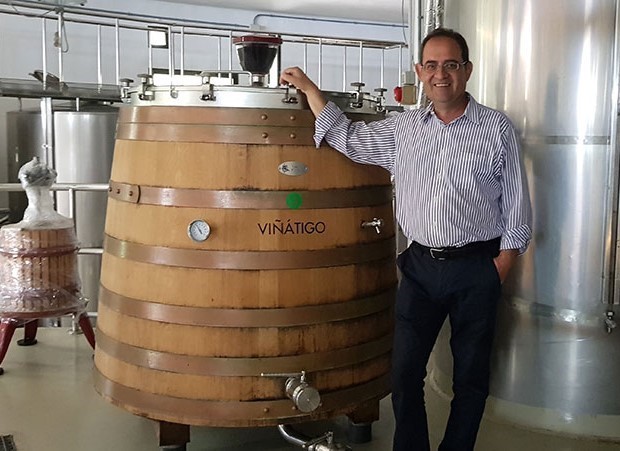 bodega viñatigo
