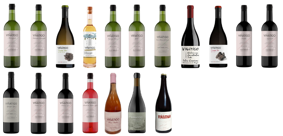 Vinos de Bodega Viñátigo