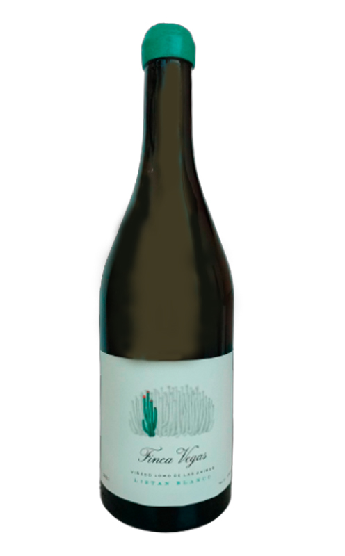 Finca Vegas Viñedo Lomo de Las Animas - La Cava de Piñero