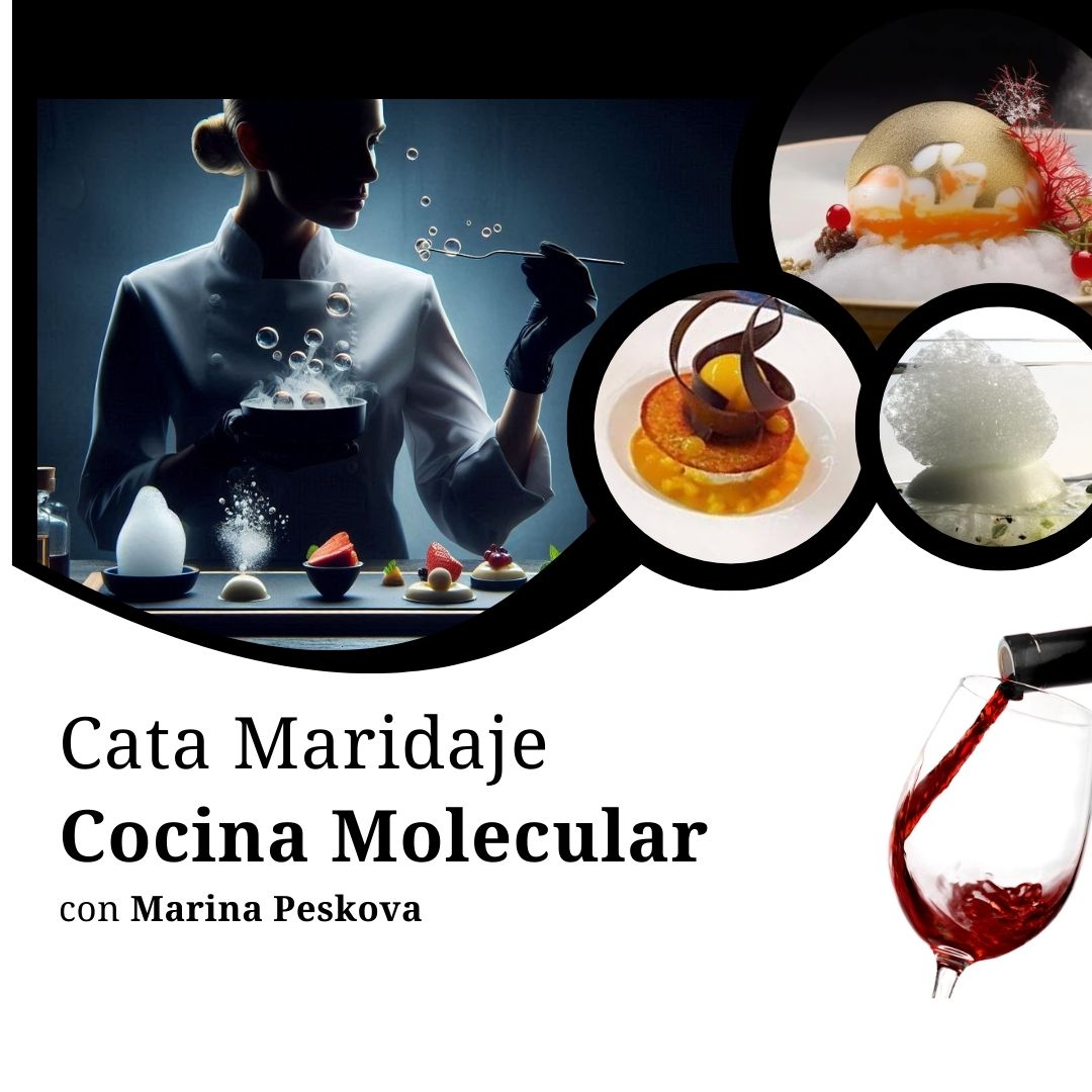 Cata Maridaje Cocina Molecular