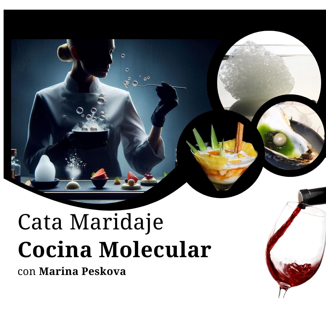 Cata Maridaje Cocina Molecular