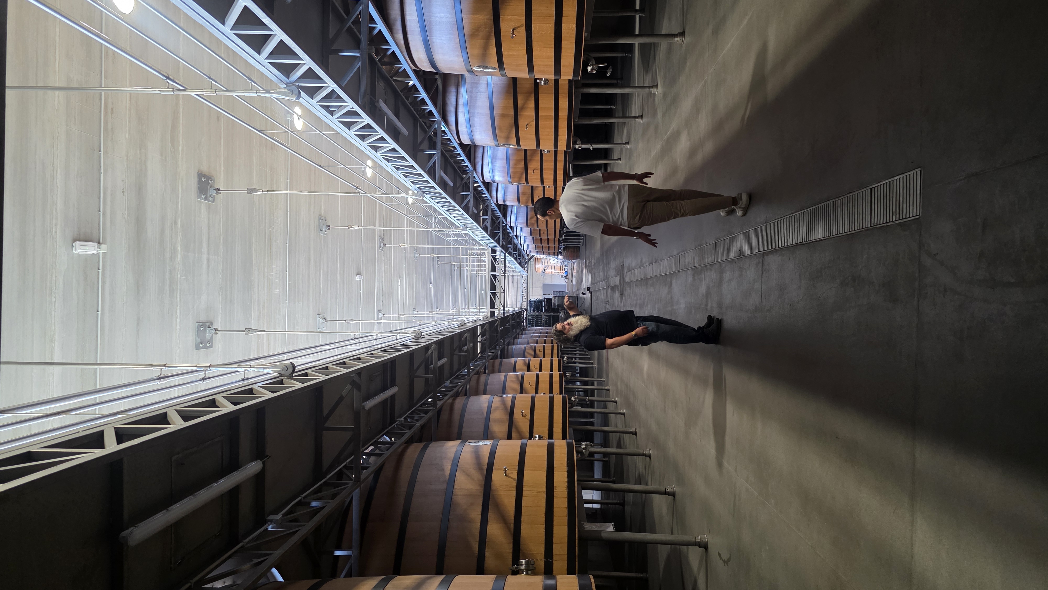 Raúl Pérez bodegas y viñedos