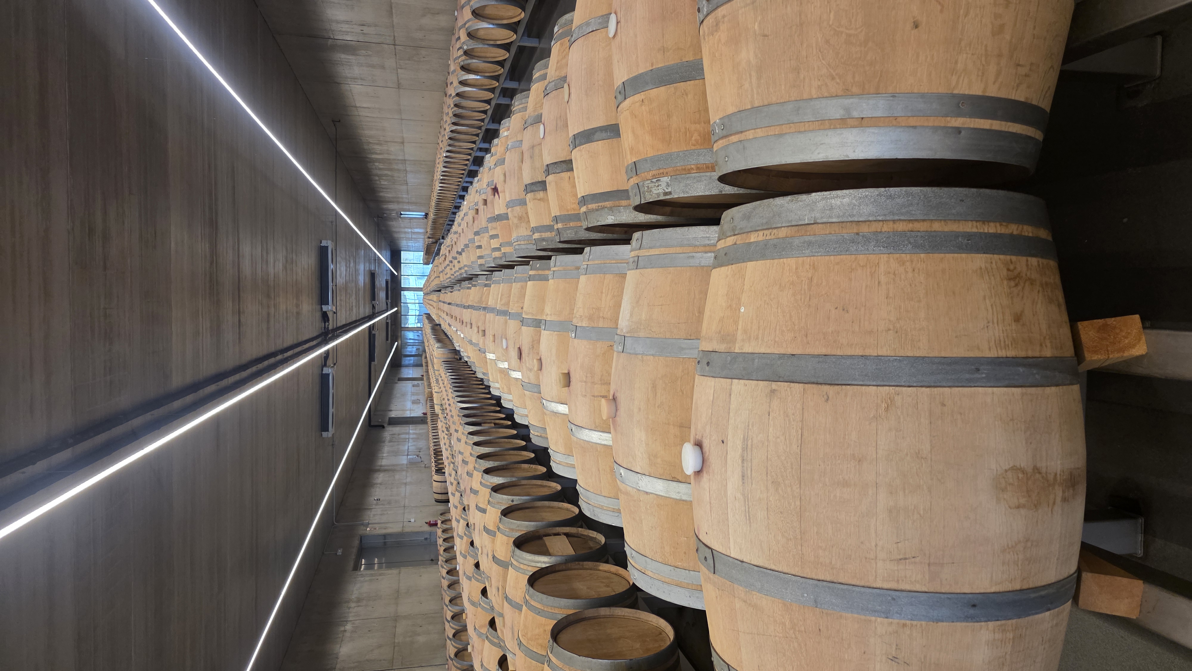 Raúl Pérez vinos