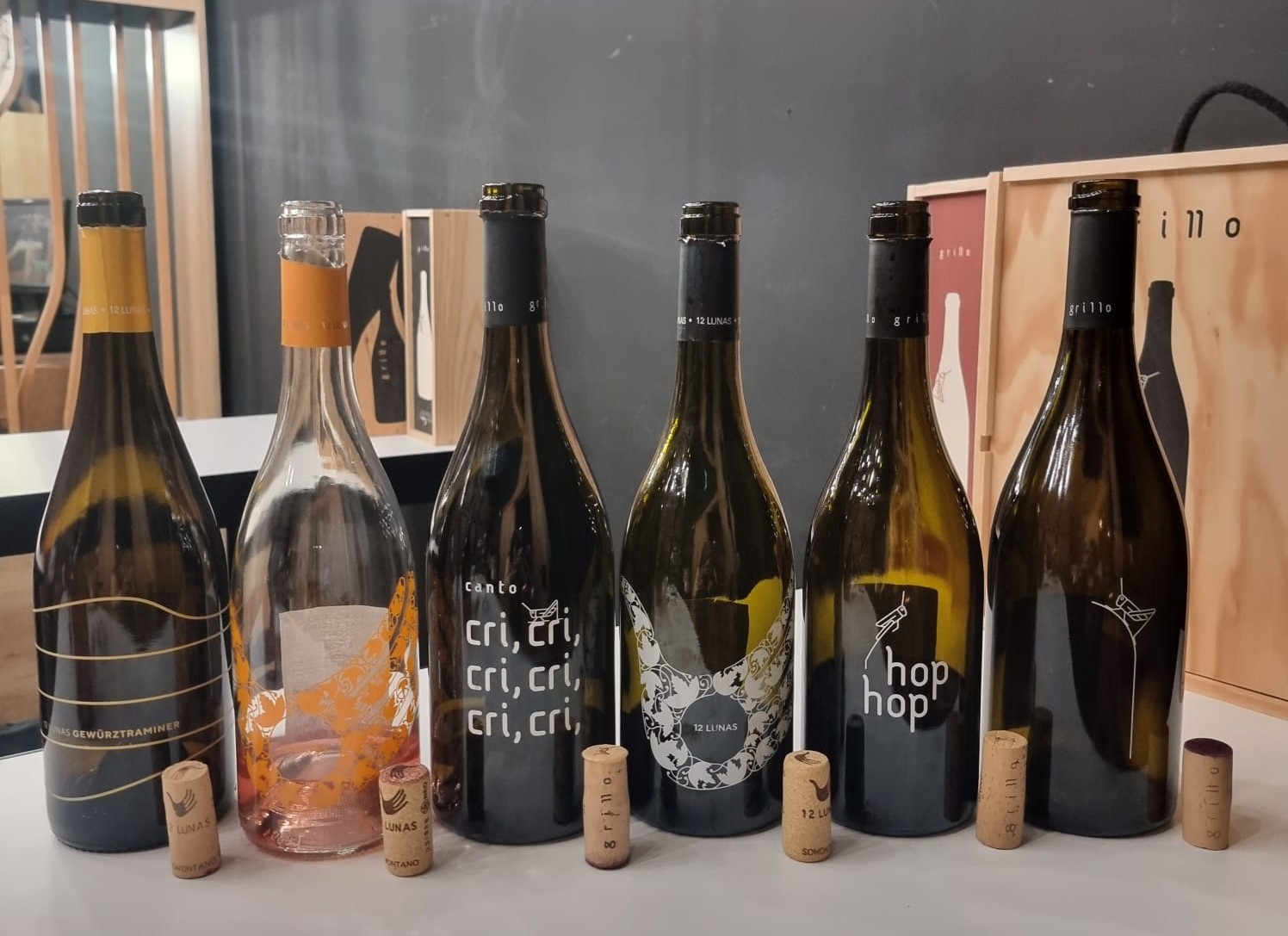 Vinos El Grillo y La Luna