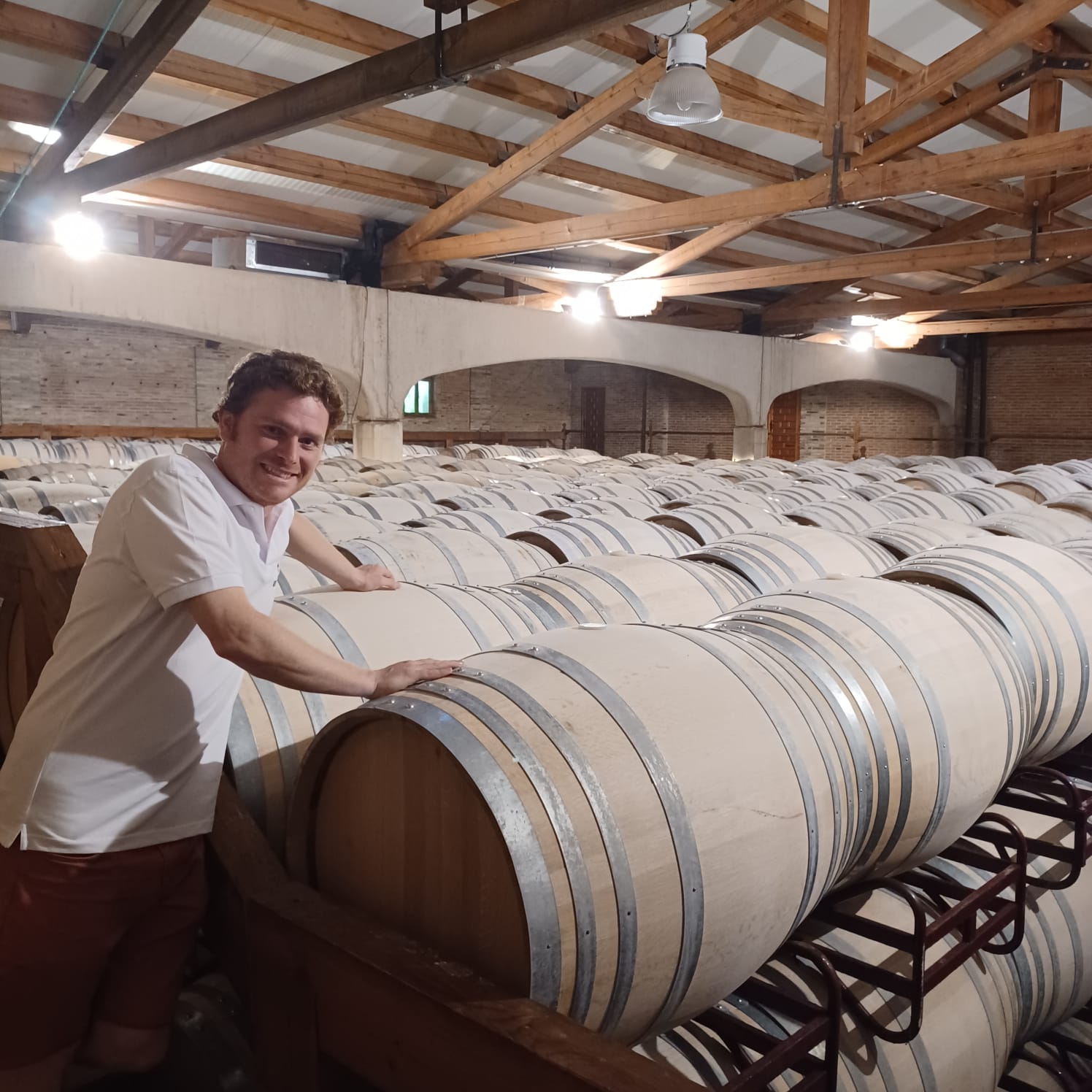 castillo de monjardin