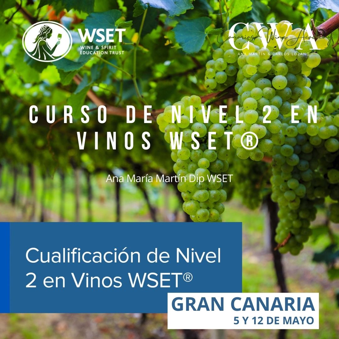 Certificación de nivel 2 en vinos WSET - La Cava de Piñero