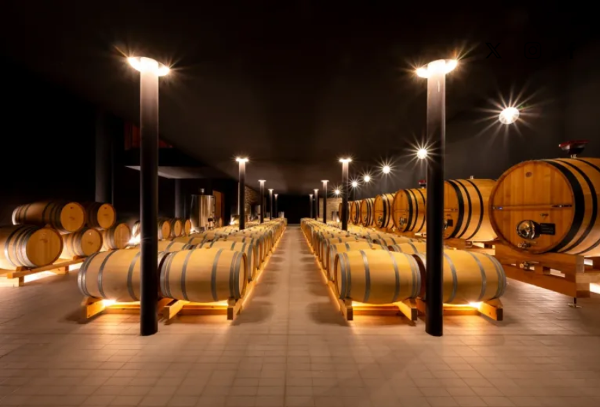 Zona de crianza bodega Aiurri