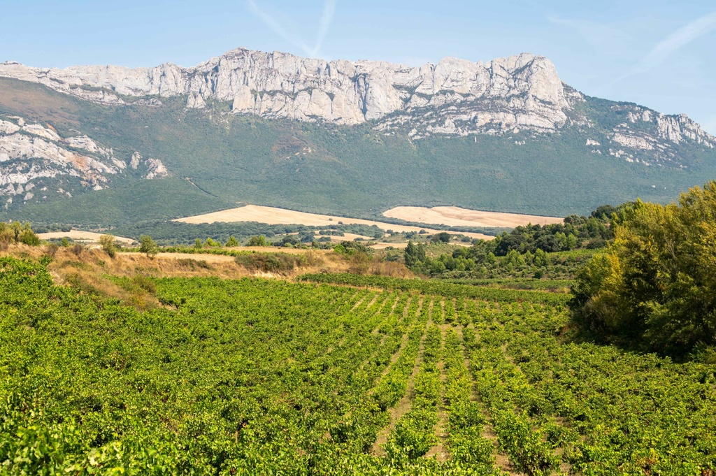Viñedos y Sierra de Toloño, Sierra Cantabria