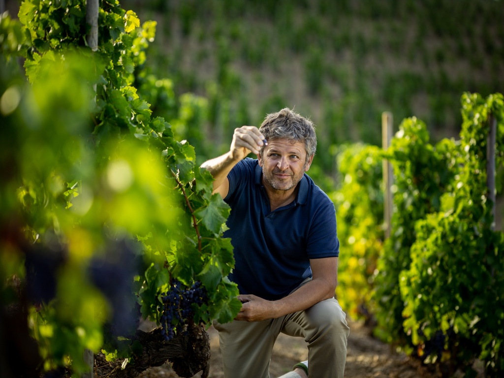 Álvaro Palacios en el viñedo L'Ermita