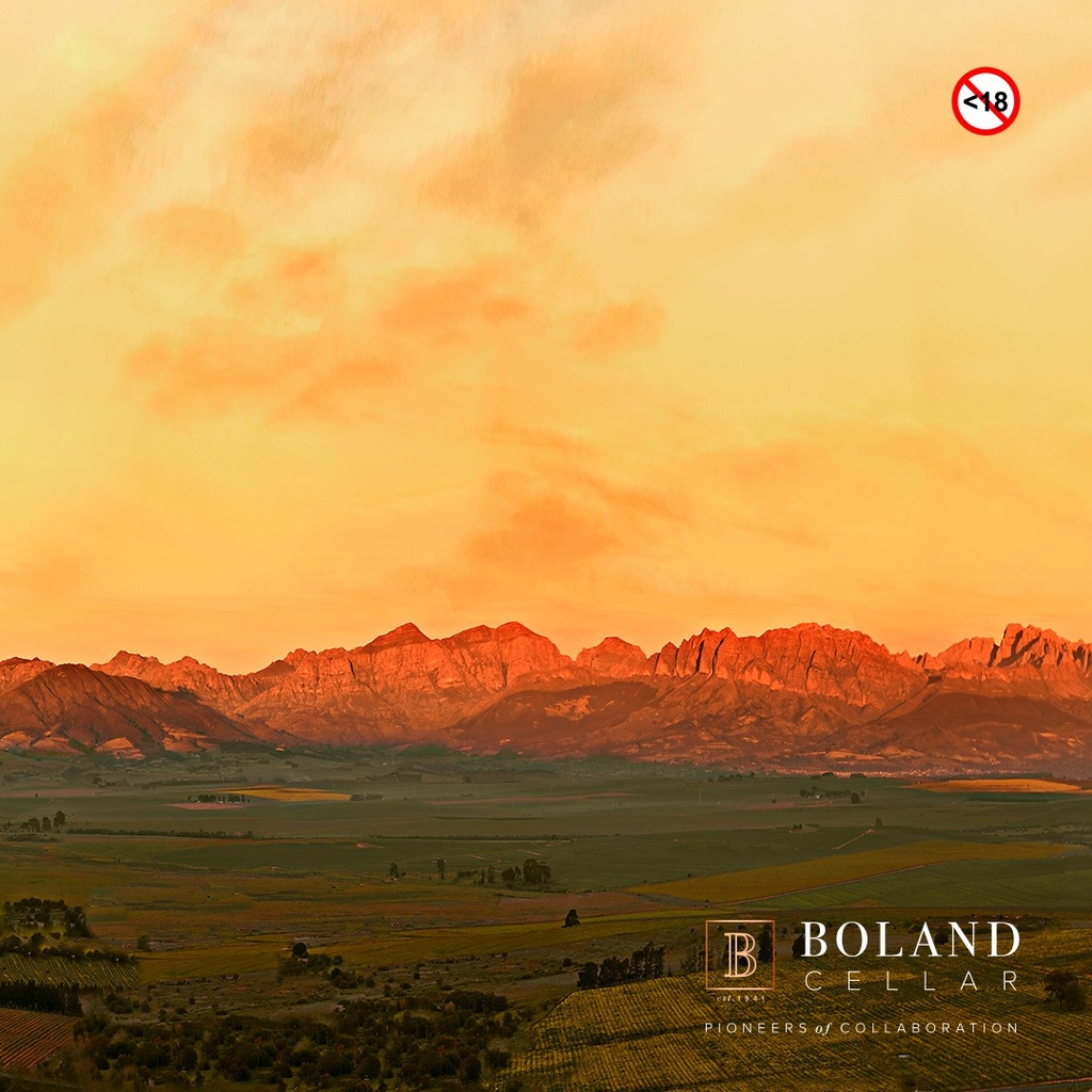 Paisaje Boland Cellar