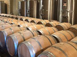 Cousteau bodega