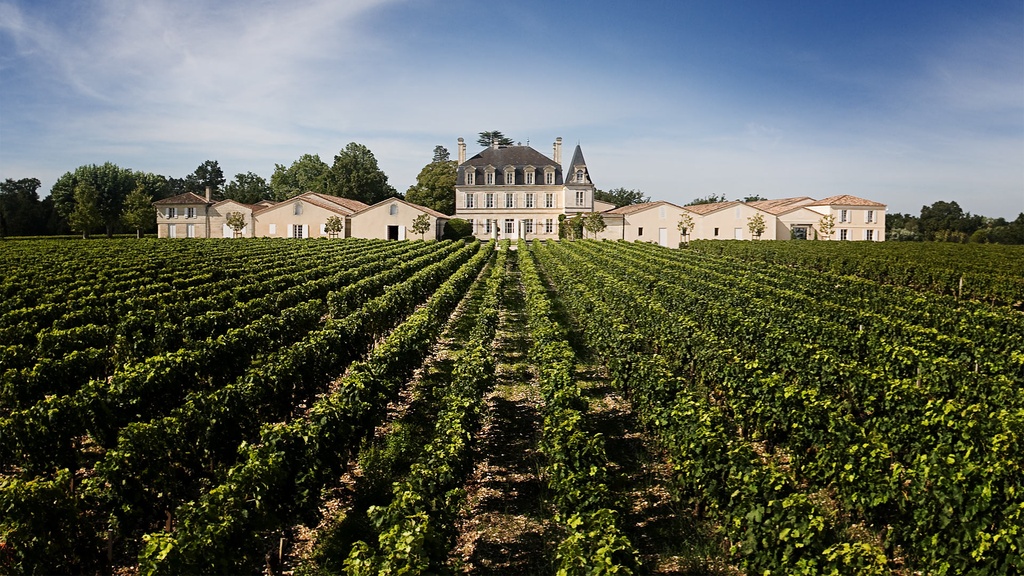 Château Lafite Rothschild desde el viñedo