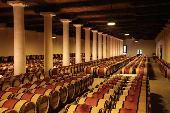 Sala de barricas