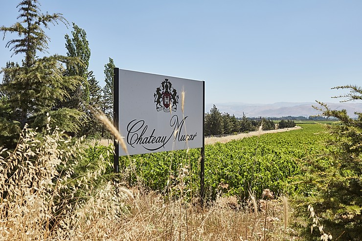 Cartel Château Musar