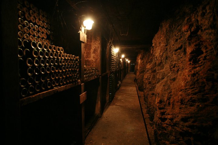Botellero
