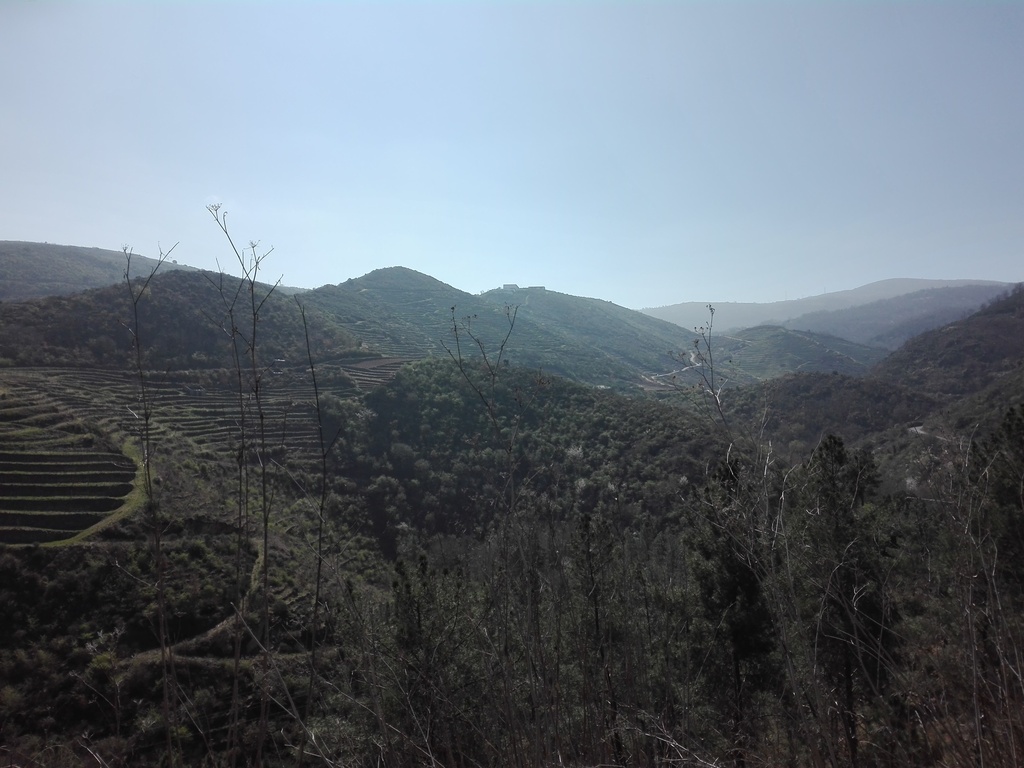 Panorámica de Bibei