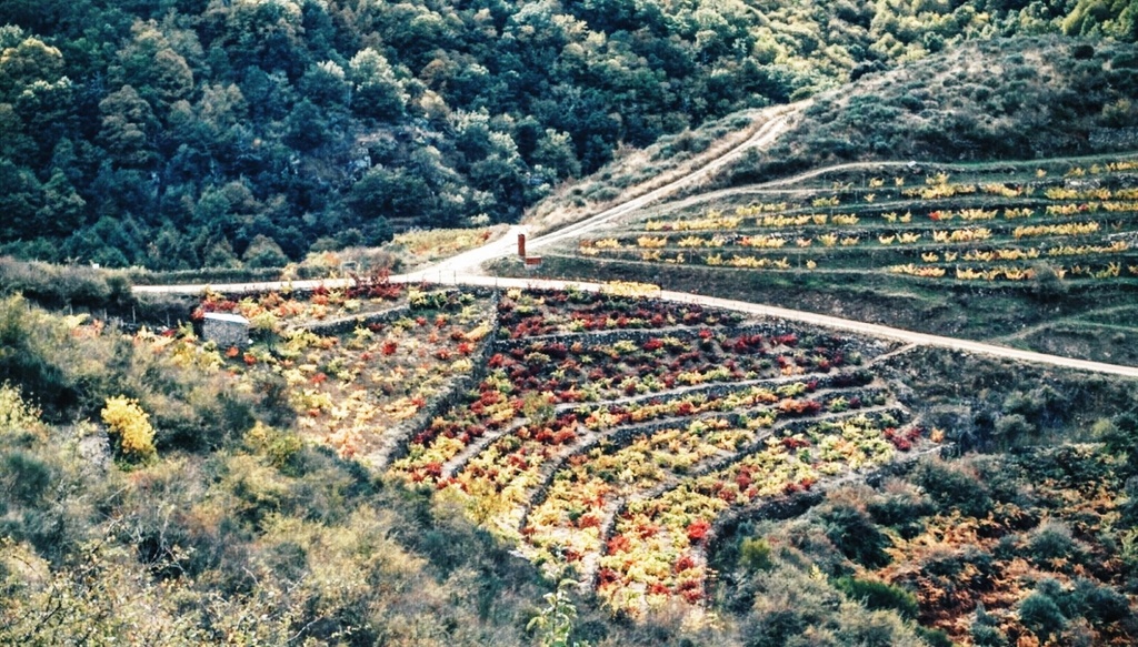 Cromática de variedades