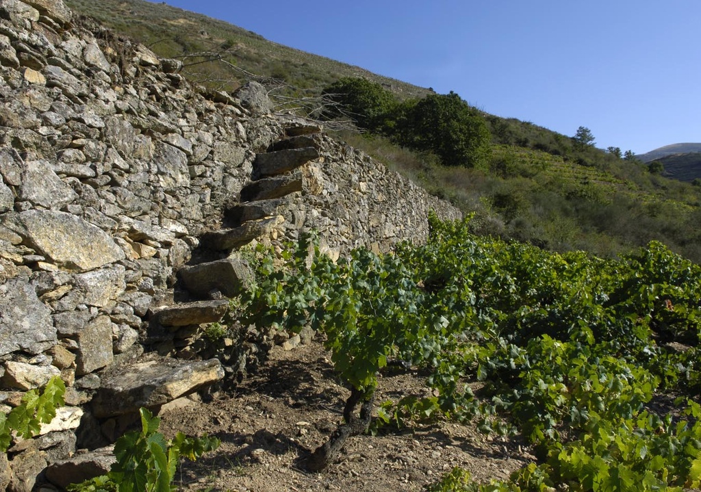 Escalera Eiros