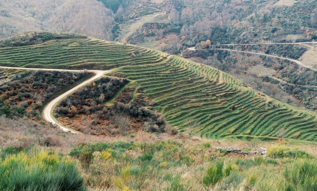 Finca La Galga