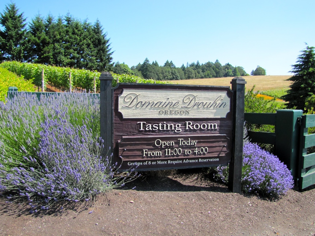 Domaine Drouhin
