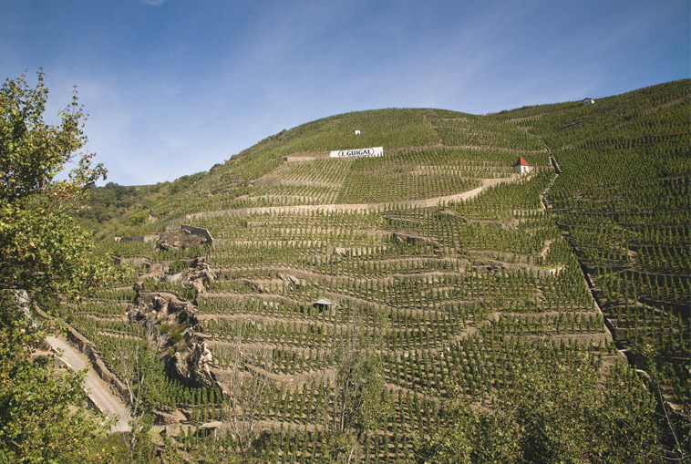 Viñedos en Côte-d'Or de Guigal
