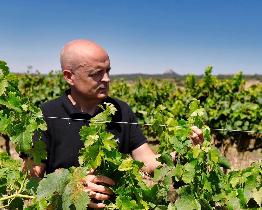 Alberto Santiago Director Técnico de la bodega