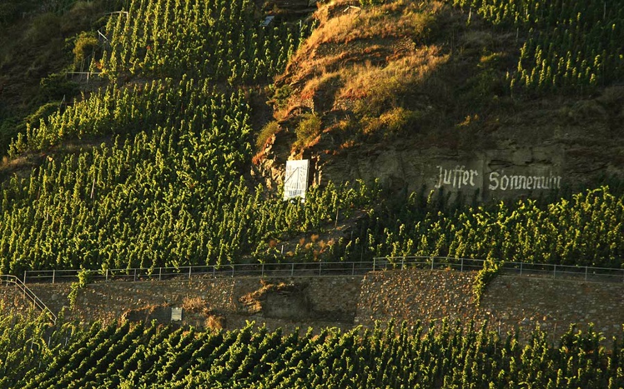 Fritz Haag viñedo