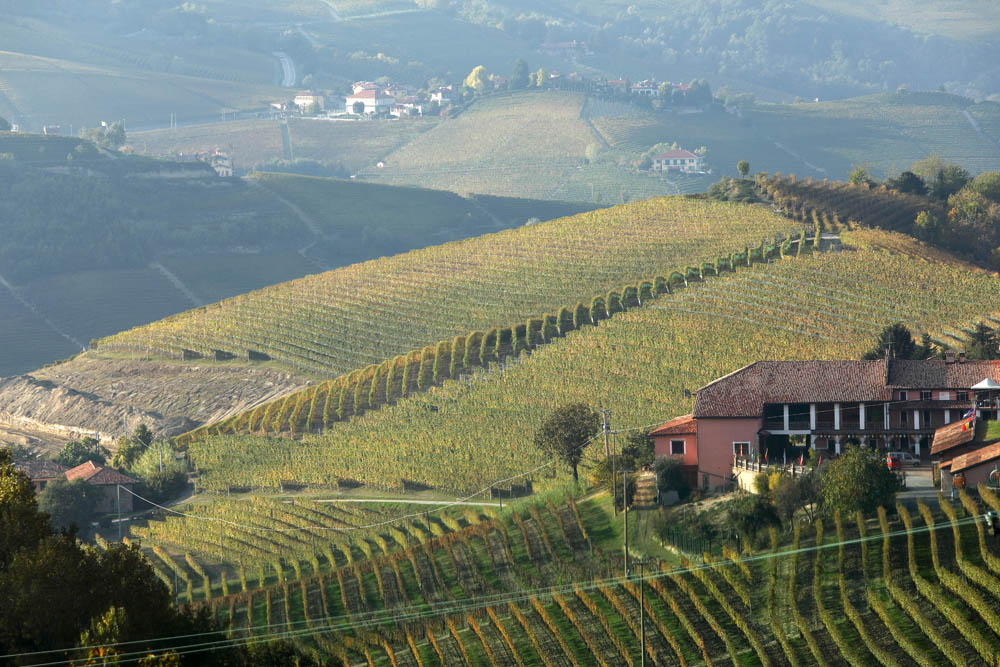 Oddero bodega