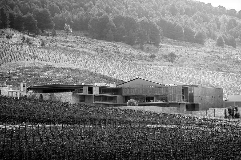 carraovejas bodega