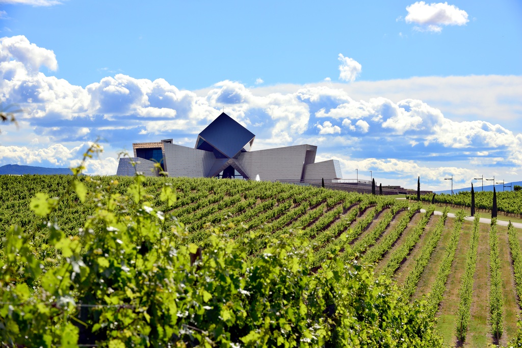 Bodegas Sommos, vista desde viñedos