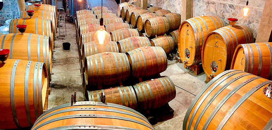 Suertes Bodega