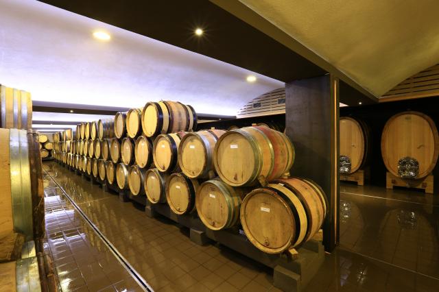Sala de Barricas