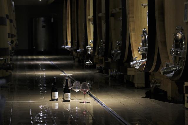 Sala de Elaboración
