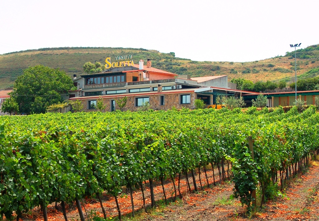 Bodega Tenute Soletta