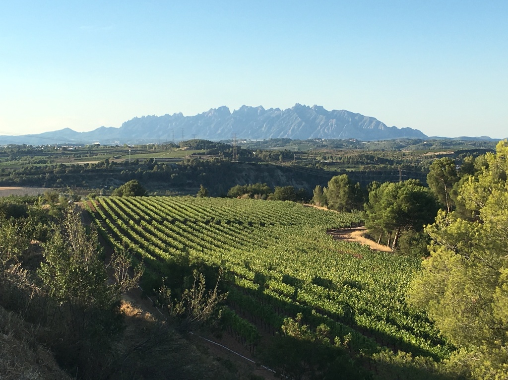 Finca Can Martí