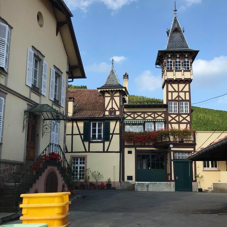 Bodega Trimbach