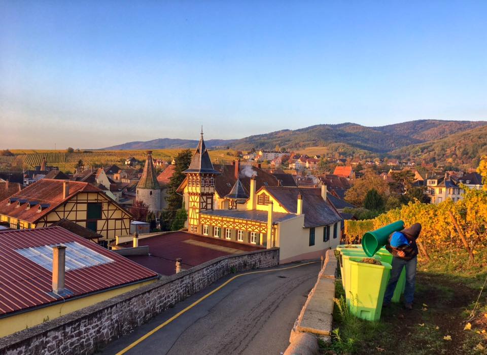 Bodega Trimbach