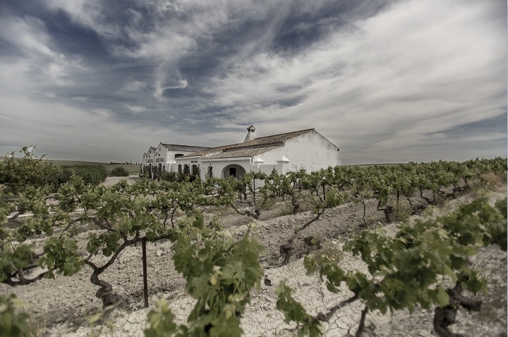 Bodegas Ximénez Spínola