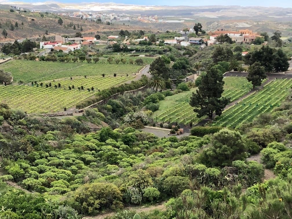 finca vegas