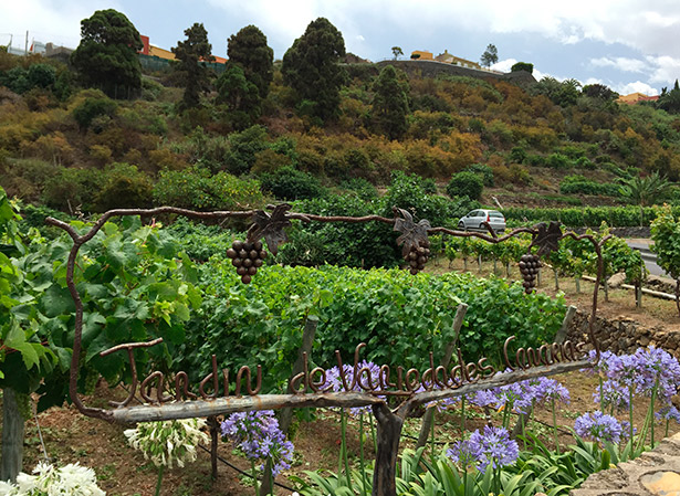 viñatigo bodega