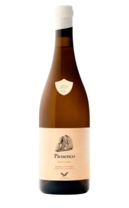 Picuenco